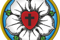 Luther-rózsa